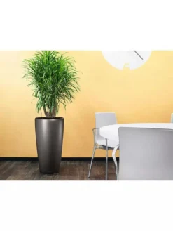 Lechuza® Rondo Self-Watering Planters -PlantJoy Store 8594586 02V tif