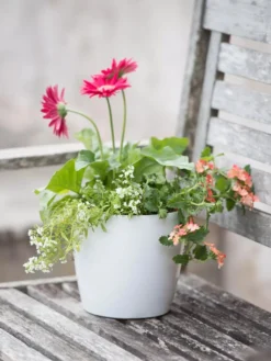 Viva Round Self-Watering Planter, 7" Diameter 8 Viva Round Self-Watering Planter, 7" Diameter -PlantJoy Store 8595222 1139 tif