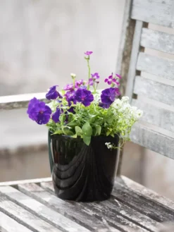 Viva Round Self-Watering Planter, 7" Diameter 9 Viva Round Self-Watering Planter, 7" Diameter -PlantJoy Store 8595222 1140 tif