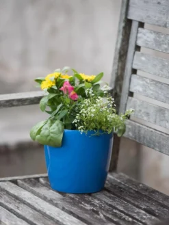 Viva Round Self-Watering Planter, 7" Diameter 7 Viva Round Self-Watering Planter, 7" Diameter -PlantJoy Store 8595222 1143 tif