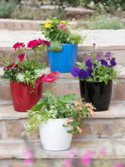 Viva Round Self-Watering Planter, 7" Diameter