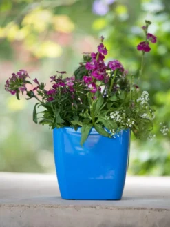 Viva Square Self-Watering Planter, 7" Diameter 8 Viva Square Self-Watering Planter, 7" Diameter -PlantJoy Store 8595223 1113 tif