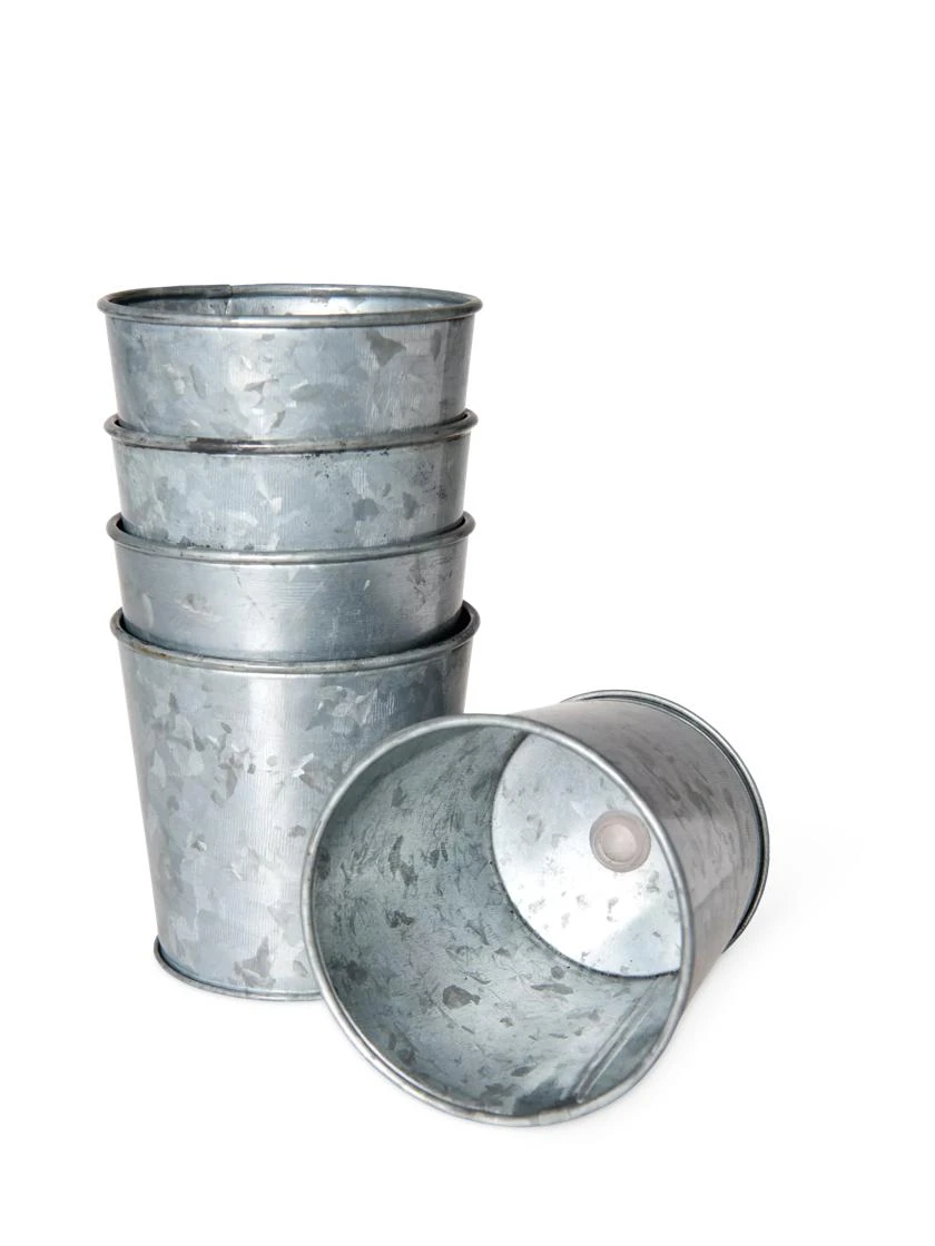 Galvanized Planting Cups, Set Of 5 2 Galvanized Planting Cups, Set Of 5 - Image 2