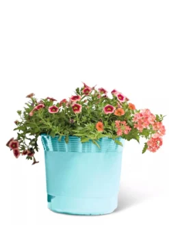 Eezy Gro Self-Watering Planters -PlantJoy Store 8596426 103 tif