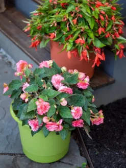 Eezy Gro Self-Watering Planters -PlantJoy Store 8596427 0034 tif