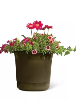 Eezy Gro Self-Watering Planters -PlantJoy Store 8596427 108 tif