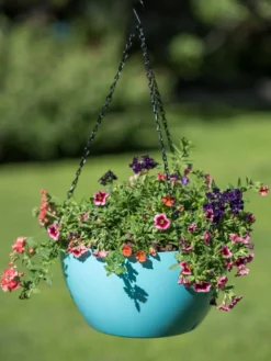 Viva Self-Watering Hanging Basket, 14" Diameter -PlantJoy Store 8596442 0859 tif