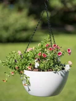 Viva Self-Watering Hanging Basket, 14" Diameter -PlantJoy Store 8596442 0864 tif