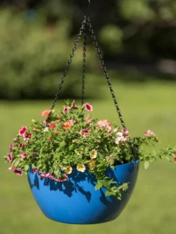 Viva Self-Watering Hanging Basket, 14" Diameter -PlantJoy Store 8596442 0876 tif