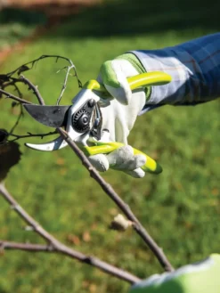 Gardener's Pro Pruner #2 -PlantJoy Store 8596605 032 tif