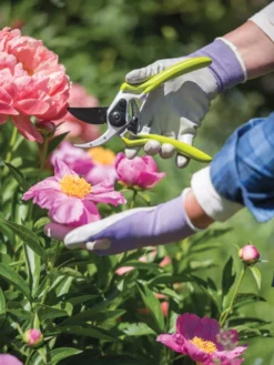 Gardener's Pro Pruner #2 -PlantJoy Store 8596605 1261 tif