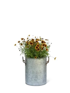 Galvanized Rim Planters 10 Galvanized Rim Planters -PlantJoy Store 8597442 1705 tif
