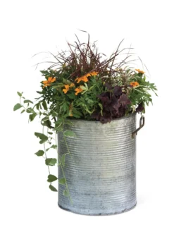 Galvanized Rim Planters 11 Galvanized Rim Planters -PlantJoy Store 8597443 1704 tif