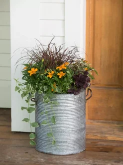 Galvanized Rim Planters 8 Galvanized Rim Planters -PlantJoy Store 8597443 1708 tif