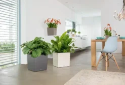 Lechuza® Cube Premium Planters 7 Lechuza® Cube Premium Planters -PlantJoy Store 8597506 02V tif