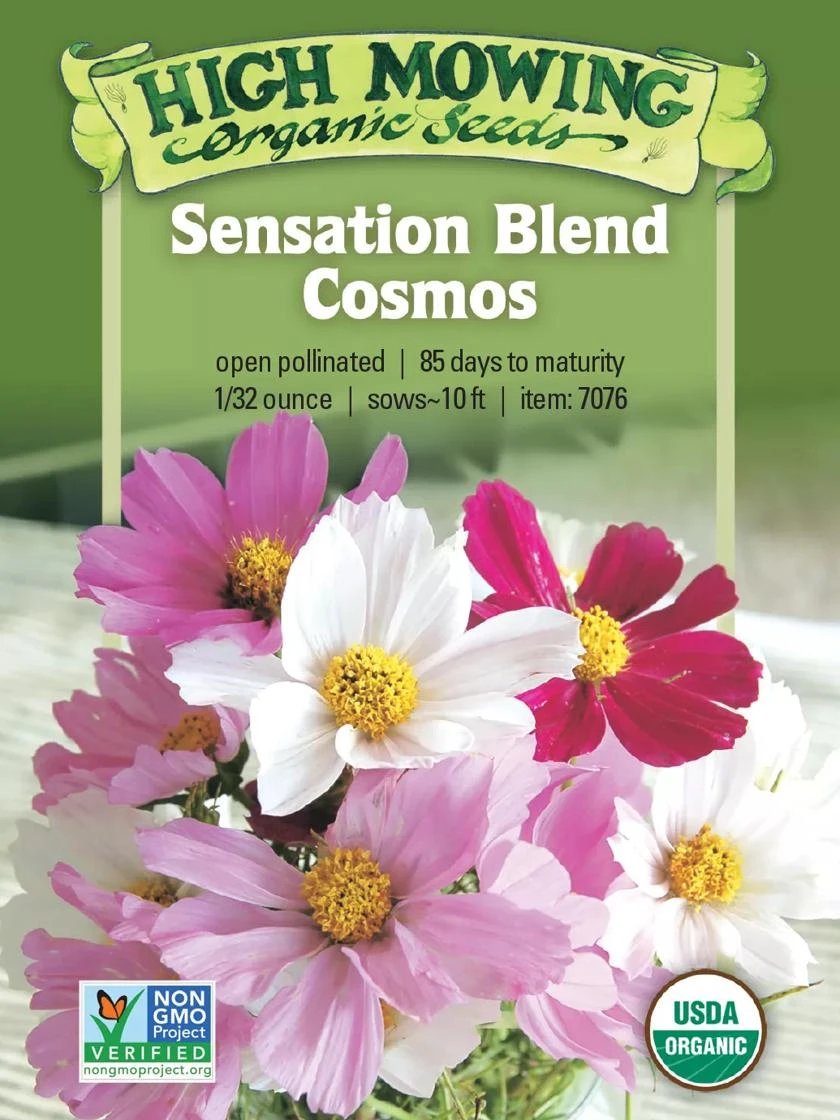 Sensation Blend Cosmos Organic Seeds 1 Sensation Blend Cosmos Organic Seeds
