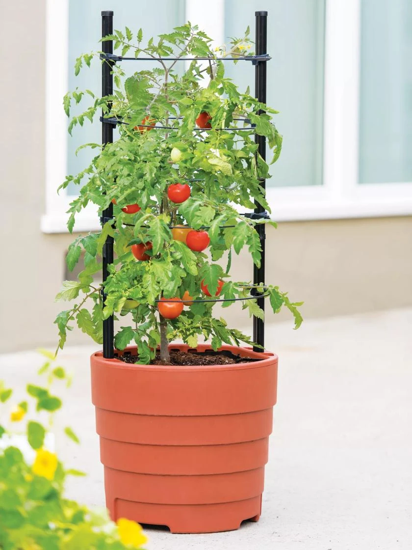 Gardener’s Victory Self-Watering Planter With Support System 1 Gardener’s Victory Self-Watering Planter With Support System