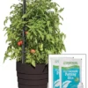 Gardener’s Victory Self-Watering Planter Garden Kit