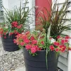 Gardener’s Victory Self-Watering Patio Planter