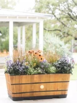 VegTrug™ Trough Planters 12 VegTrug™ Trough Planters -PlantJoy Store 8598402 8880 tif