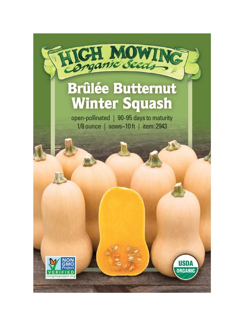 Brulee Butternut Squash Organic Seeds 1 Brulee Butternut Squash Organic Seeds