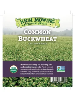 Common Buckwheat Organic Seeds 7 Common Buckwheat Organic Seeds -PlantJoy Store 8599871 04v
