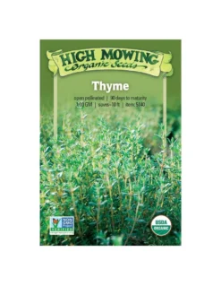 Thyme Organic Seeds -PlantJoy Store 8599882 02v