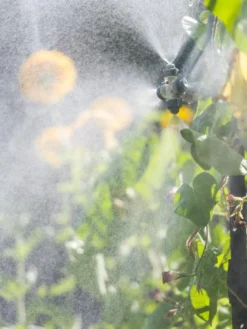 Landscape 4-Way Cooling Mist Kit, 50' -PlantJoy Store 8600154 0695 tif