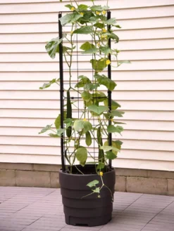 Gardener’s Victory Self-Watering Planter With Vine Trellis -PlantJoy Store 8600177 9876 tif 1