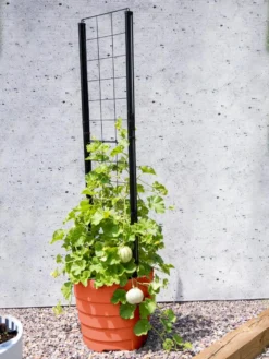 Gardener’s Victory Self-Watering Planter Garden With Vine Trellis -PlantJoy Store 8600178 05487 tif