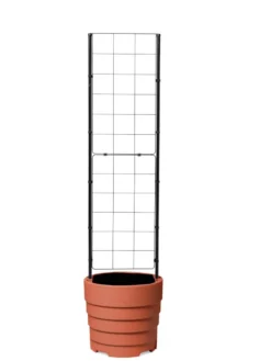 Gardener’s Victory Self-Watering Planter With Vine Trellis -PlantJoy Store 8600178 7000 tif