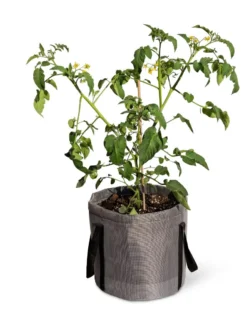 Reinforced Colorful Grow Bags 11 Reinforced Colorful Grow Bags -PlantJoy Store 8600229 0944 tif