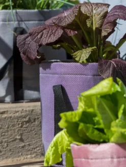 Reinforced Colorful Grow Bags 9 Reinforced Colorful Grow Bags -PlantJoy Store 8600230 20013 tif