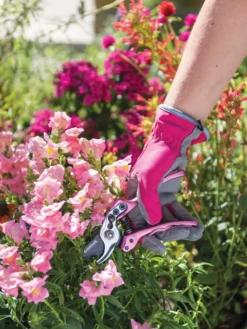 Gardener's Floral Pruning Bypass Shears -PlantJoy Store 8600299 19545 tif