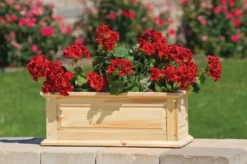 Savannah Window Boxes 14 Savannah Window Boxes -PlantJoy Store 8600461 04V tif