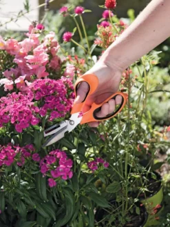 Gardener's Multi Purpose Scissors 6 Gardener's Multi Purpose Scissors -PlantJoy Store 8608655 19551 tif