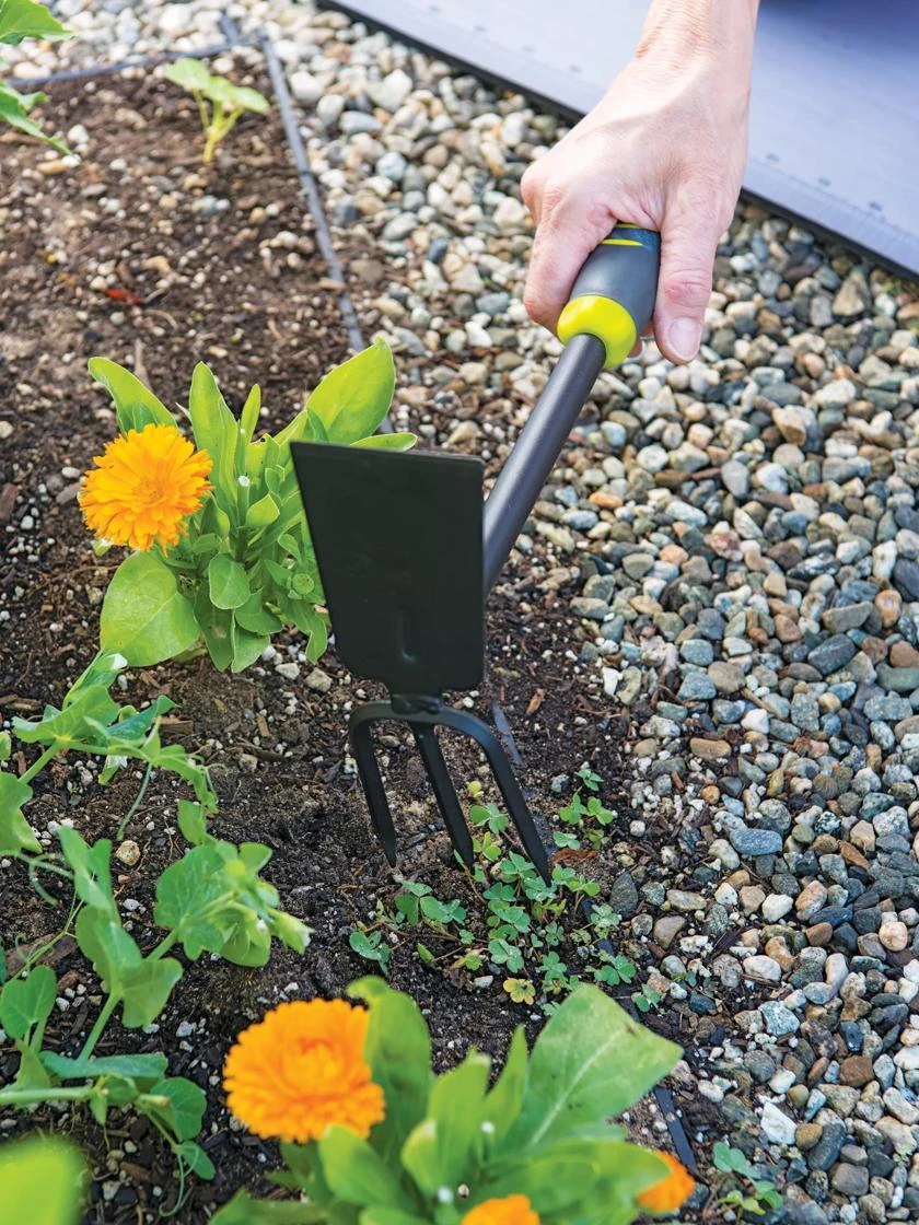 Gardener's 2-in-1 Short Handle Hoe And Cultivator 4 Gardener's 2-in-1 Short Handle Hoe And Cultivator - Image 4