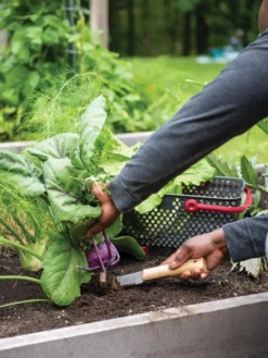 Gardener's Lifetime Hori Hori Knife -PlantJoy Store 8608888 0422 tif