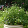 Birdies™ Round Metal Raised Bed