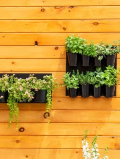 8 Pot Metal Wall Planter -PlantJoy Store 8609195 6250 tif
