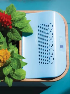 Dewplanter -PlantJoy Store 8609512 Dewplanter