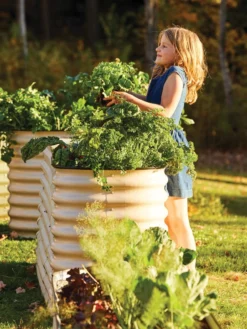 Birdies™ Modular Metal Raised Bed, Tall 11 Birdies™ Modular Metal Raised Bed, Tall -PlantJoy Store 8610174 05010 tif