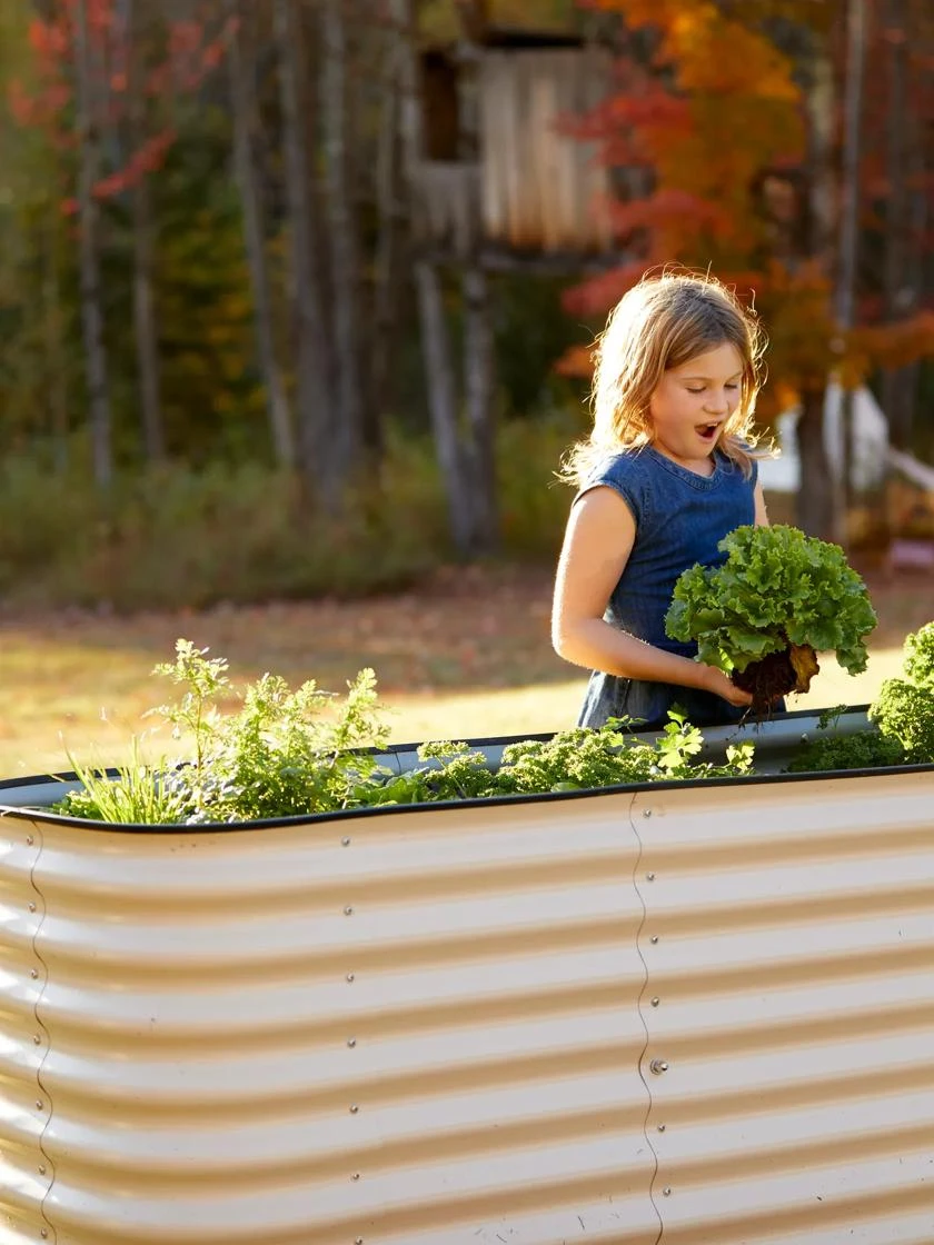Birdies™ Modular Metal Raised Bed, Tall 4 Birdies™ Modular Metal Raised Bed, Tall - Image 4