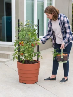 Gardener’s Victory Self-Watering Planter Garden Kit -PlantJoy Store 8610239 06002 tif