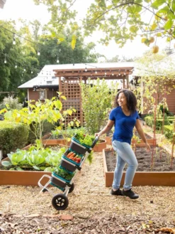 Mod Hod Trolley With Teal Mod Hods 7 Mod Hod Trolley With Teal Mod Hods -PlantJoy Store 8610240 0070 tif