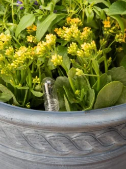 Adjustable Self-Watering Insert For Pots And Planters -PlantJoy Store 8610250 0010 tif