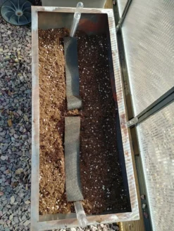 Adjustable Self-Watering Insert For Pots And Planters -PlantJoy Store 8610250 7000 tif