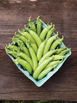 Family Garden Organic Seed Collection, Set Of 7 9 Family Garden Organic Seed Collection, Set Of 7 -PlantJoy Store 8610262 cascadia peas 01V tif