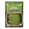 Antigua Bush Bean Organic Seeds
