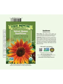 Velvet Queen Sunflower Organic Seeds 5 Velvet Queen Sunflower Organic Seeds -PlantJoy Store 8610362 01v